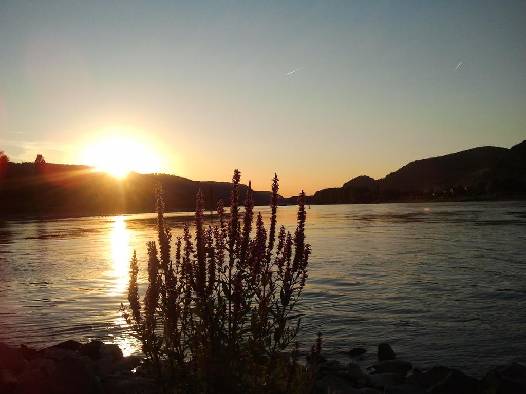 Fe Wo Am Alten Rathaus Andernach Rom bilde